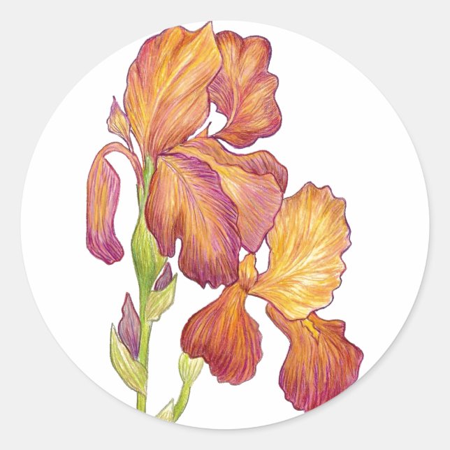 Artist's Iris Sticker (Front)