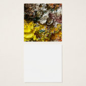 Artist's palette #1 (Front & Back)
