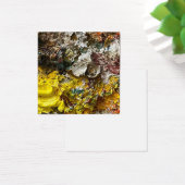 Artist's palette #1 (Desk)
