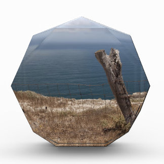 Artist's Retreat Award