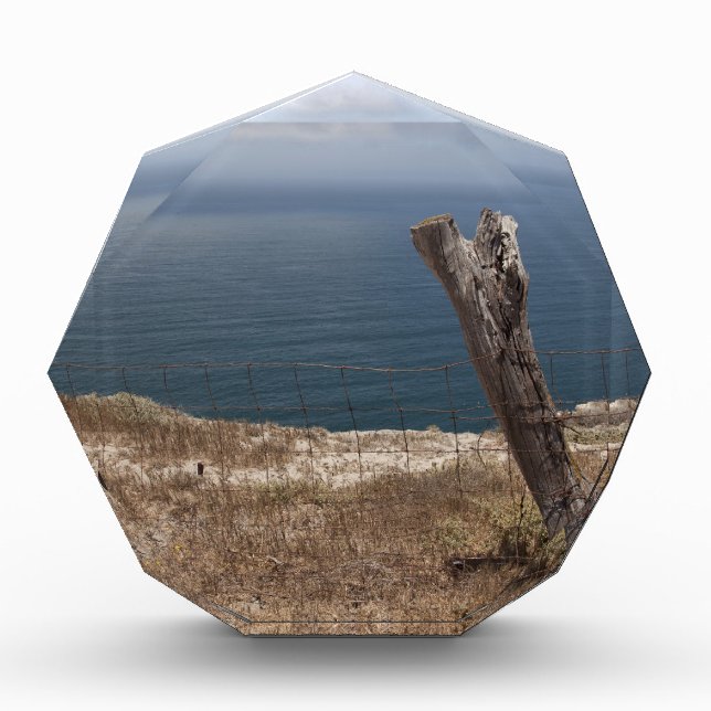 Artist's Retreat Award (Front)