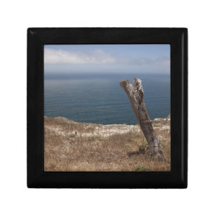 Artist's Retreat Gift Box