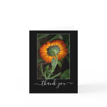 Artists Series: Orange Floral Art Thank you