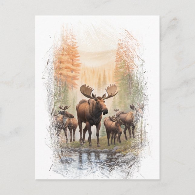 *~* Artsy AP49 MOOSE HERD Forest STREAM Postcard (Front)