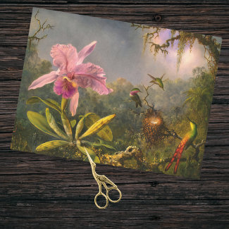 Artsy Brazilian Cattelya Orchid and 3 Hummingbirds