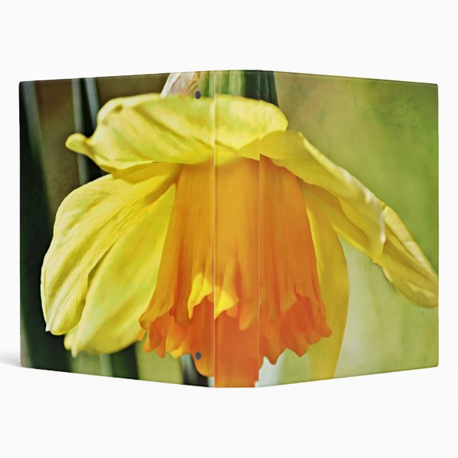 Artsy Daffodil Flower Binder Notebook (Background)