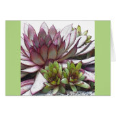 Artsy Hens and Chicks (Front Horizontal)