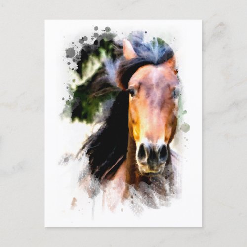  Artsy Horse AR22 Artistic  Painting Equine Postcard