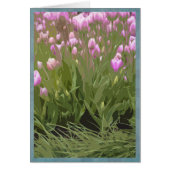 Artsy pink tulips (Front)