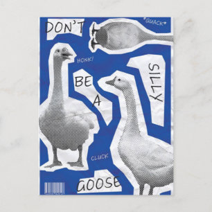 Artwork Illustration Don't Be A Silly Goose Postcard