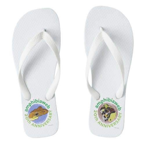 ArtYourAmphibian2020 _ EAChambers _ NotaDia Flip Flops