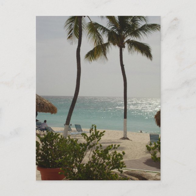 Aruba Baby Beach Postcard (Front)