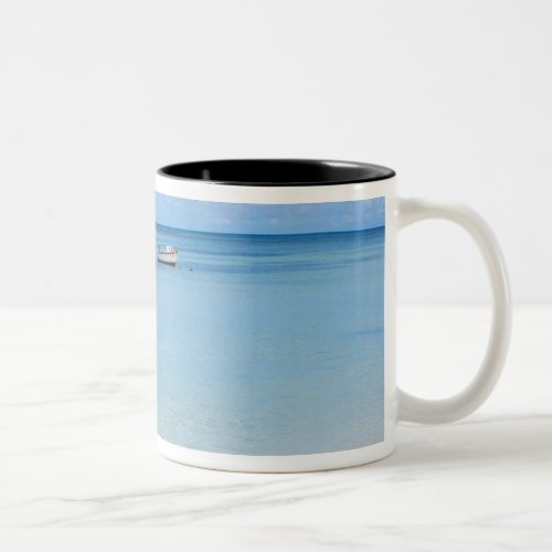 Aruba beach and sea 2 Two_Tone coffee mug