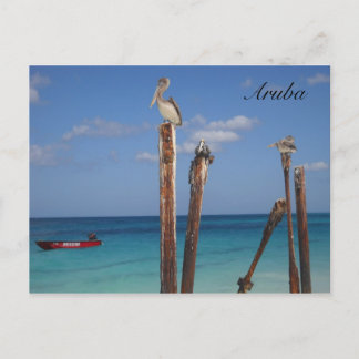 Aruba, Blue Skies in Paradise Postcard
