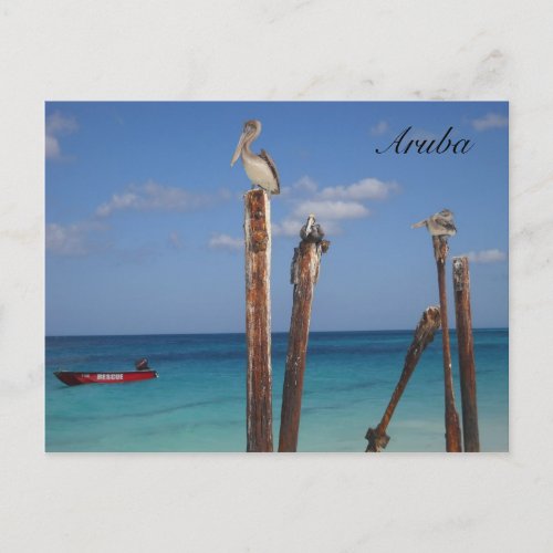 Aruba Blue Skies in Paradise Postcard