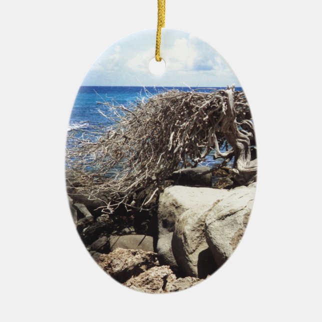 Aruba Divi Divi Tree At The Ocean Ceramic Ornament (Front)