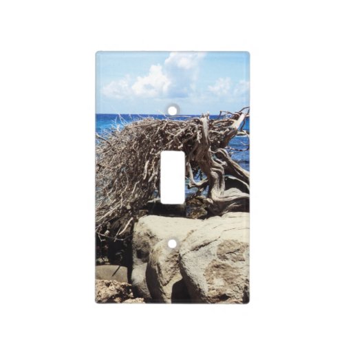 Aruba Divi Divi Tree At The Ocean Light Switch Cover