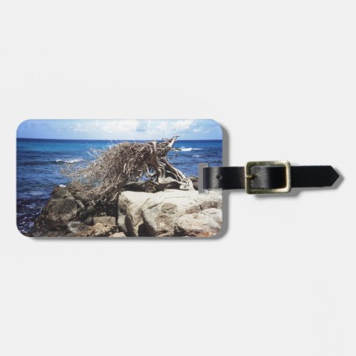 Aruba Divi Divi Tree At The Ocean Luggage Tag