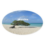Aruba Divi Divi Tree Oval Sticker