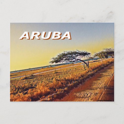 Aruba _ Divi Divi Trees Postcard