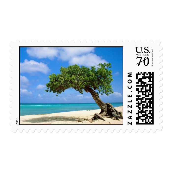 Aruba   Divi Tree Postage