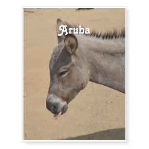 Aruba Donkey Temporary Tattoos