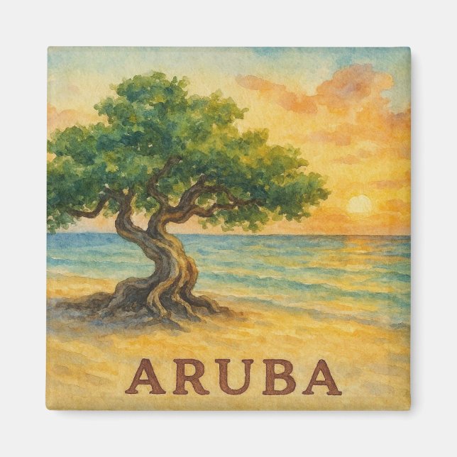 Aruba Eagle Beach Divi Tree Golden Hour Magnet (Front)