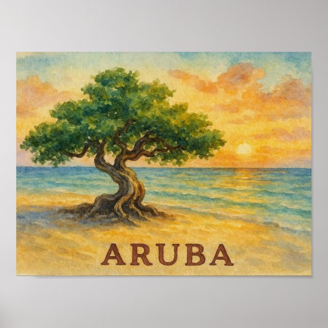 Aruba Eagle Beach Divi Tree Golden Hour Poster (Front)