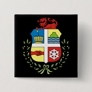 aruba emblem pinback button
