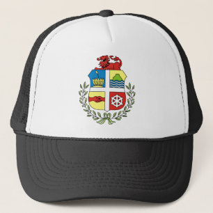 aruba emblem trucker hat