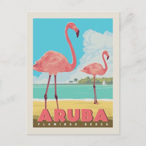 Aruba  Flamingo Beach Postcard