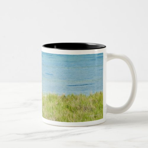 Aruba grassy beach and sea Two_Tone coffee mug