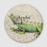 Aruba Green Iguana Magnet