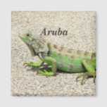 Aruba Green Iguana Magnet