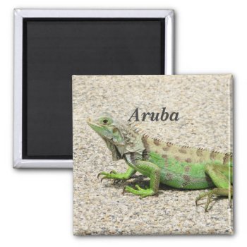 Aruba Green Iguana Magnet by GoingPlaces at Zazzle