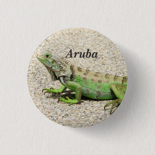 Aruba Green Iguana Pinback Button (Front)