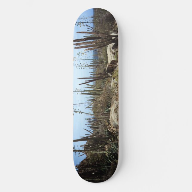 Aruba Landscape With Cactus Skateboard Deck (Front)
