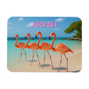 Aruba magnet