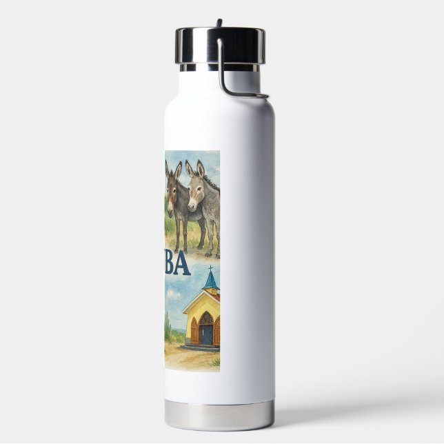 Aruba multiview watercolor water bottle (Left)