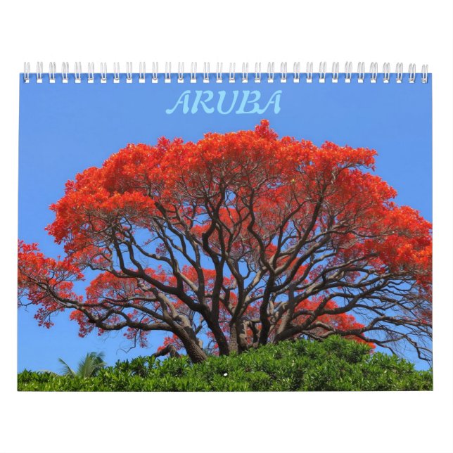 Aruba one happy island calendar (Cover)