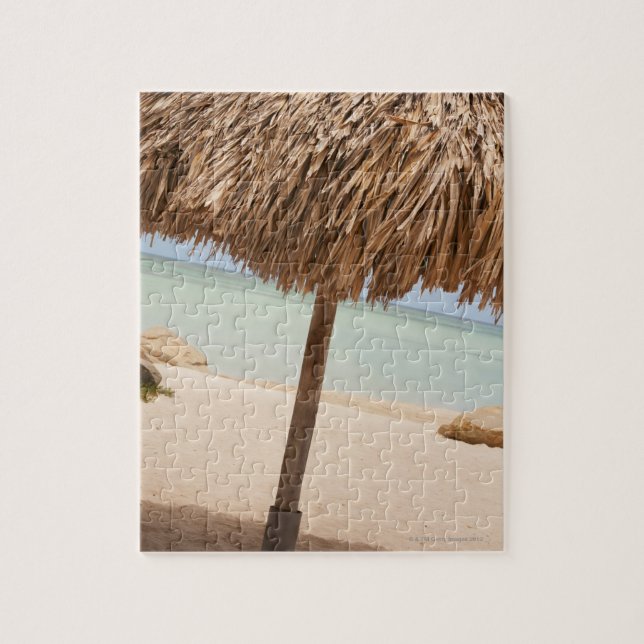 Aruba, palapa on beach jigsaw puzzle (Vertical)