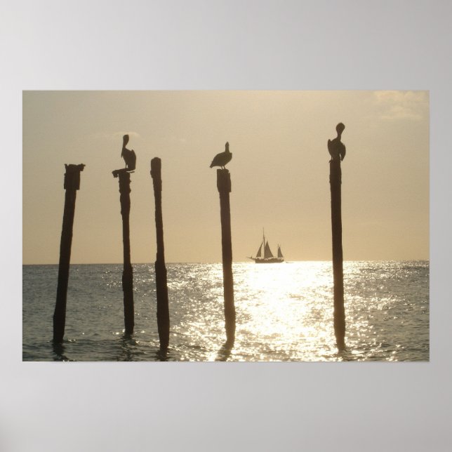 Aruba Poster (Front)