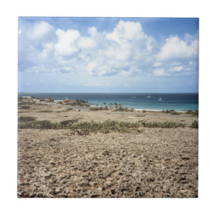 Aruba Rocky Ocean View Tile
