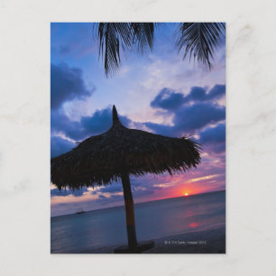 Aruba, silhouette of palapa on beach at sunset 2 postcard