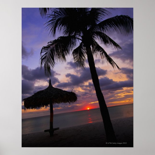 Aruba, silhouette of palm tree and palapa poster (Front)