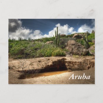 Aruba  The Golden Rush Is Over Postcard by myworldtravels at Zazzle