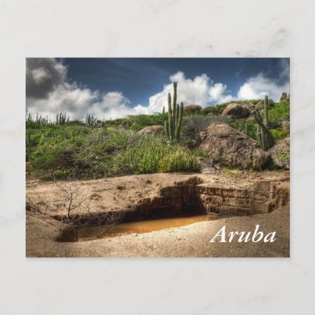 Aruba, The Golden Rush Is Over Postcard