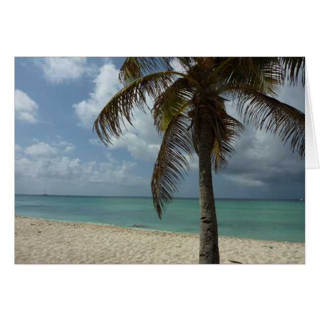 Aruban Beach I Beautiful Nature Scene Cards (Front Horizontal)