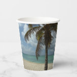 Aruban Beach I Beautiful Nature Scene Paper Cups