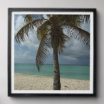 Aruban Beach I Beautiful Nature Scene Peel And Stick Photo Tile